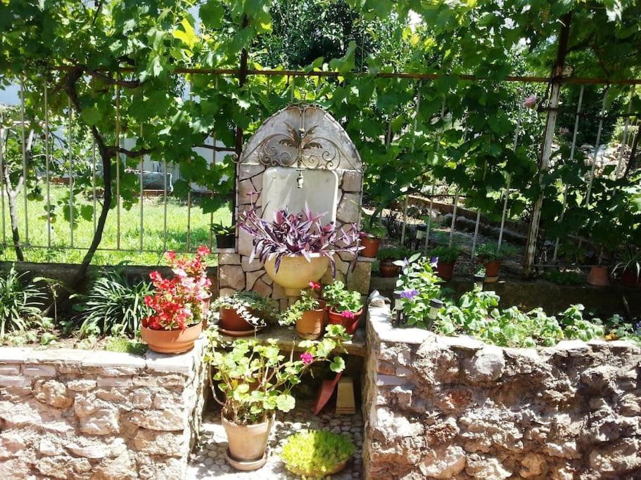 Dubrovnik Quiet Center Apartment Misur Экстерьер фото